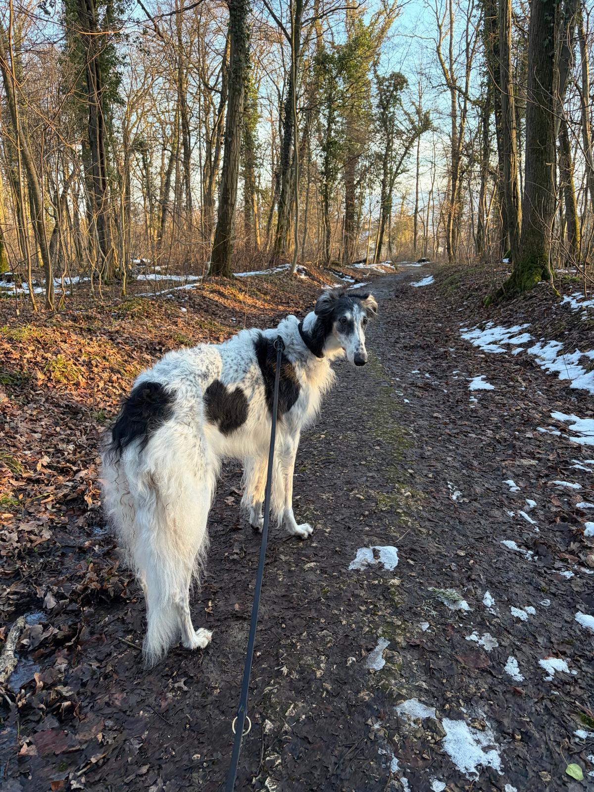 Daria und andere News vom Januar